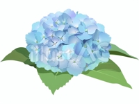 TechGuide Hydrangea@現役のPHP、JAVAエンジニアが専属で教えさせていただきます！