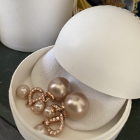 いぬのひーちゃん