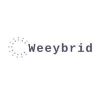 weeybrid代表