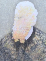 Shota ISHIDA