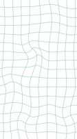 maya8119