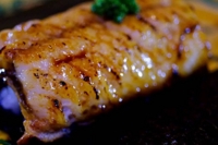 日本料理 真営