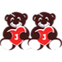 Choice Diary