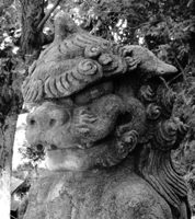 te2_rows＠WEBデザイン