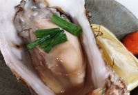 居酒屋 中々 朝霞台店