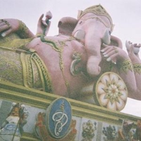 映像ディレクターMiya