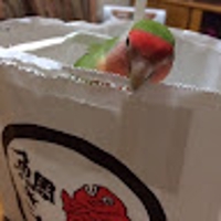 kiyomit