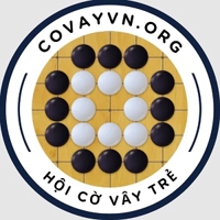 Covayvn org