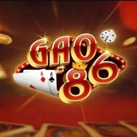gao86info