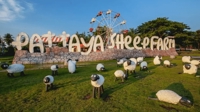 Pattayasheepfarm