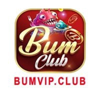 bumvipnet