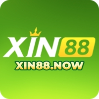XIN881