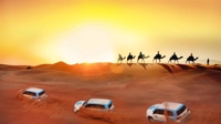 Evening Desert safari
