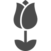 4年目エンジニア