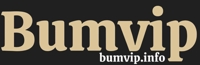 bumvipapp1