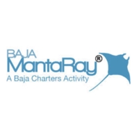 Baja mantaray