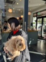 matsumoto@UIUXデザイナー暦8年