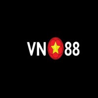vn88foundation