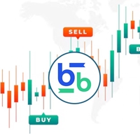 Bitbse Exchange