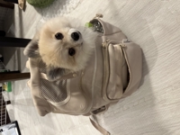 むかい@IT業界20年