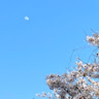 aki hayashi