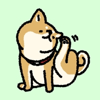 柴タンタン