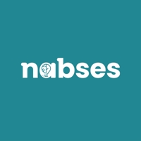 Nabses Furniture