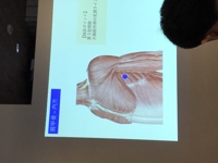 カボス