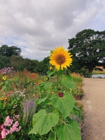 Ai @外資戦略コンサル