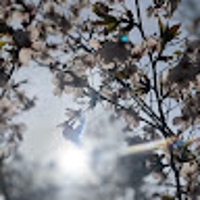 ハヤトの英語初心者社会人向け英会話レッスン＆コーチング