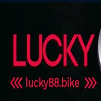 lucky88bike1