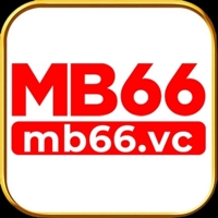 mb66international