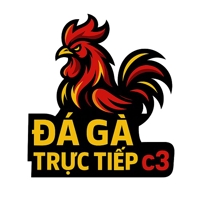 dagatructiepstudio