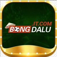 bongdaluit