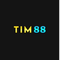 tim88art