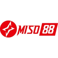 miso88snett