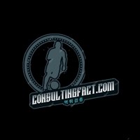 consultingfact069