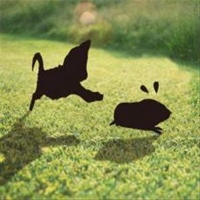 佐々木堅次@ウェブ＆デザイン歴25年