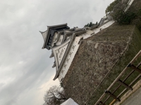 ハルノ【目標達成】