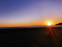 きくのは、kurimiです。