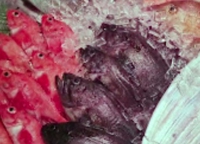 大起水産 街のみなと 奈良店