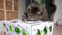 catamazingpuzzle