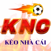 nhandinhkeonhac01