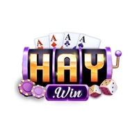 1haywinco