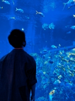 ゆうだい@自由な映像クリエイター