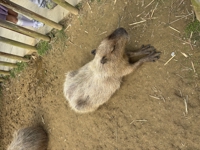 Yu@コンサル歴10年