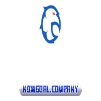 nowgoalcompany