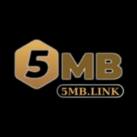 5mblink1