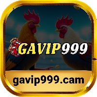 gavip999cam