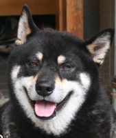 kosuke@Python5年データエンジニア